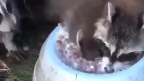 👻👻👻👻🙀🙀🙀🙀