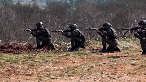 Brazilian MBT Force