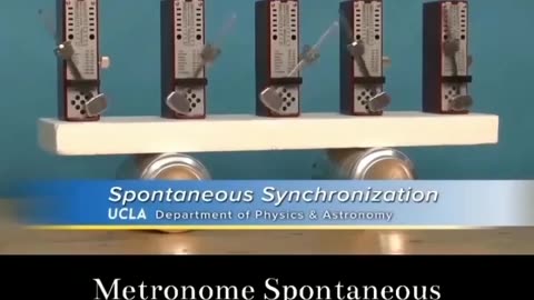 Metronome Spontaneous Synchronization