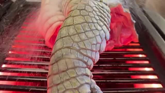 Cooking Crocodile