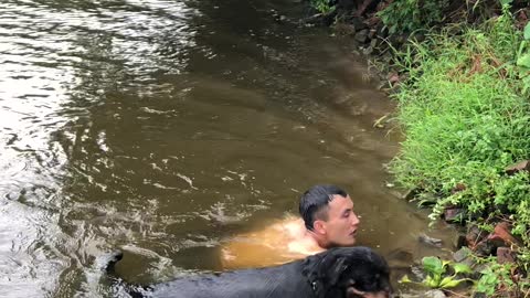 Doggy Rescues Struggling Swimmer