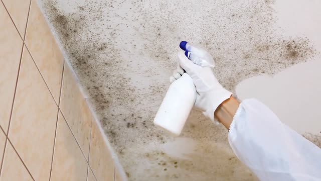 ALL US Mold Removal & Mold Remediation in Plano, TX