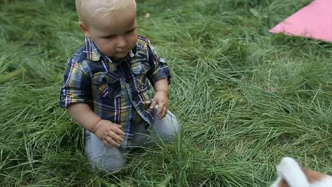 Little boy plays with a dog in the backyard