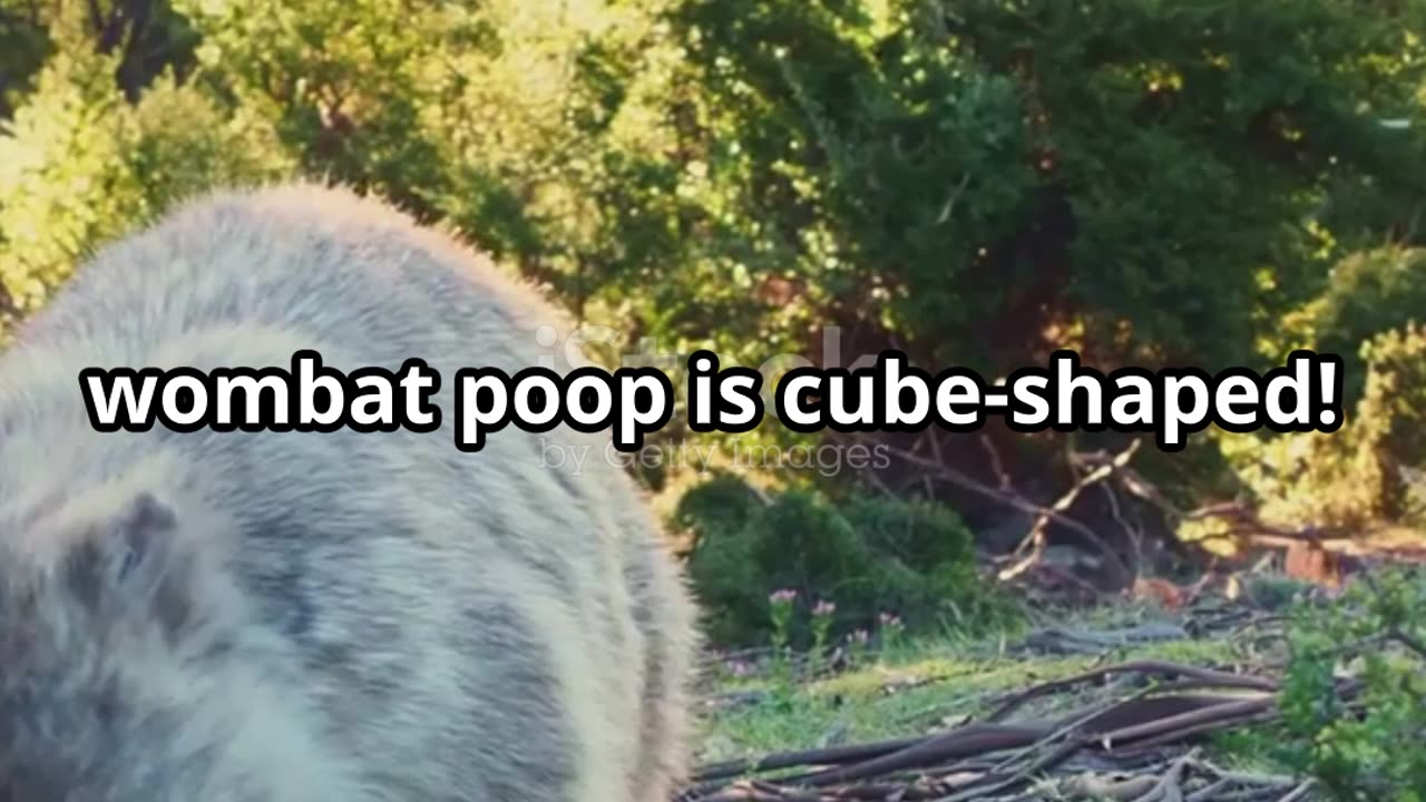 Top 5 Mind-Blowing Facts in 25 Seconds!