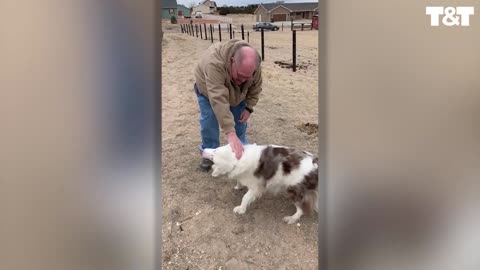 The dog’s reaction to meeting its owner after a long time.🤗🤗🤗