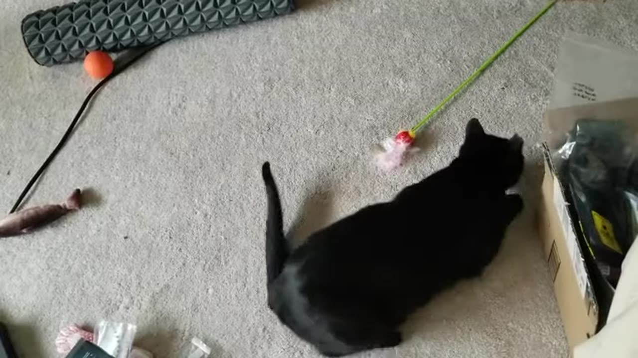 20240324 085202 Tux Playing By Himself