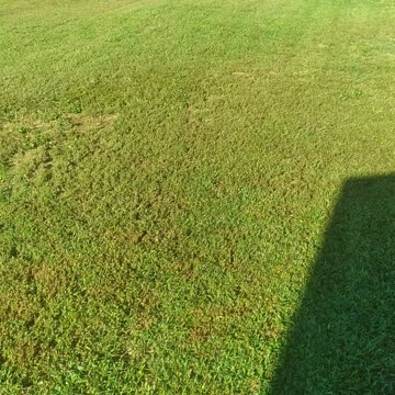 Greenville, South Carolina Grass!