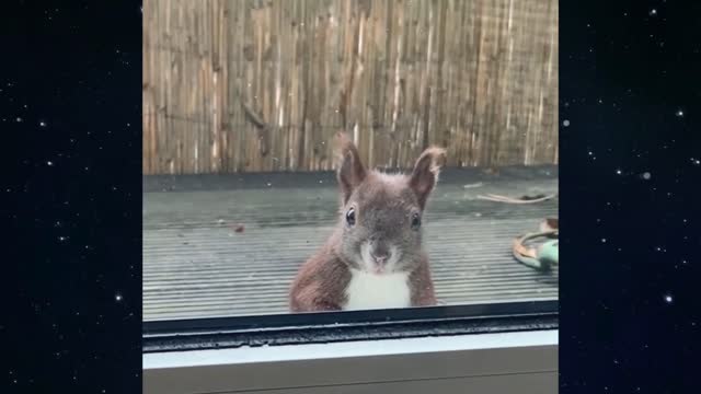 Just a hello