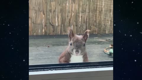 Just a hello