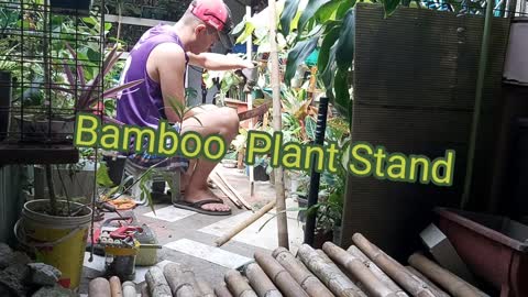 Bamboo Plant Stand