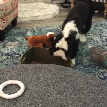 The Toybox Is The Best Toy!