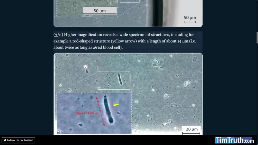 Analysis Of Moderna "Vaccine" Vial Shows Mystery Rod-like Objects