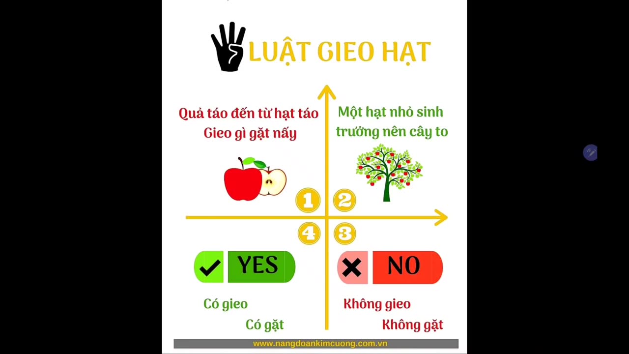 4 Quy luật gieo hạt