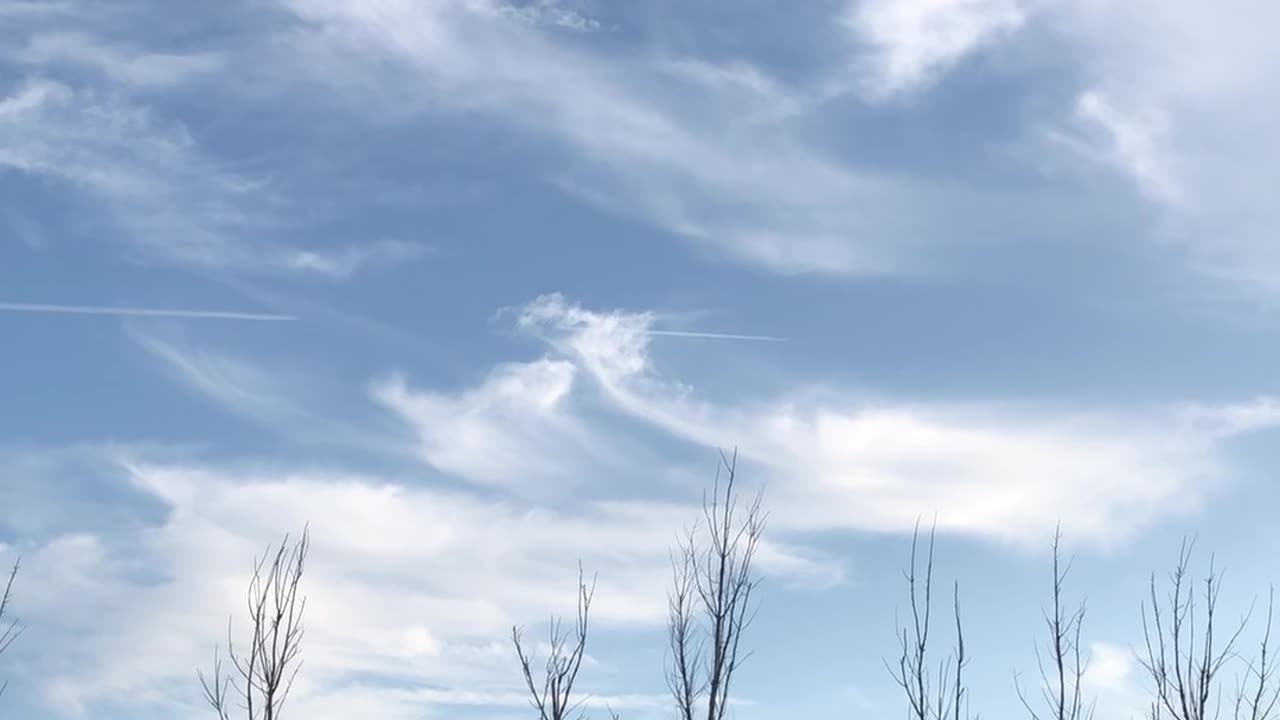 Chemtrail 8/25/24