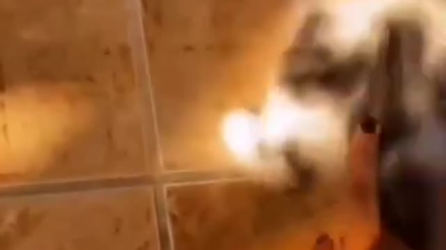 cute cat shorts❤#shorts #cat #cutecat #viral