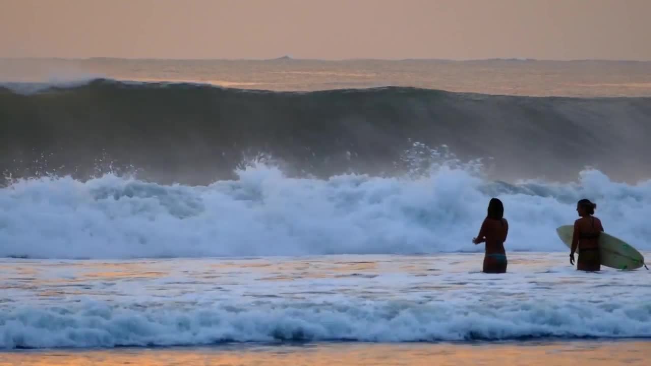 Surfing Some Waves At The Beach