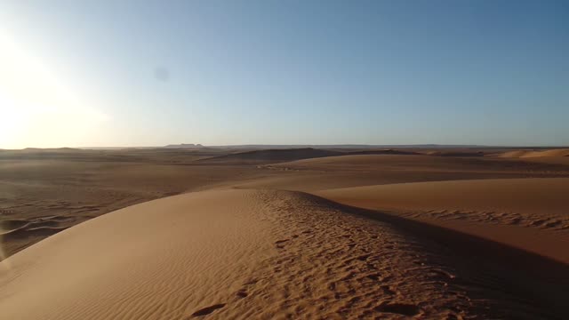 Amazing Desert