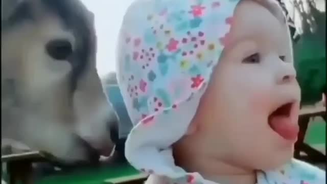 Cute Baby With Little Goat | Funny Reels Video