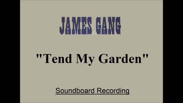 James Gang - Tend My Garden (Live in Cleveland, Ohio 2001) Soundboard