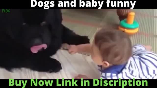 Cute Babies Playing With Dogs || Funny Baby And Pets || click bank