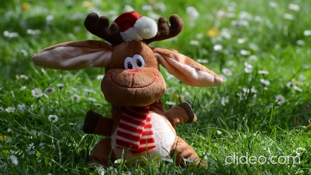 baby mind funs