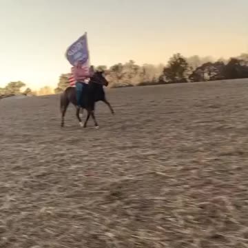 The Great CHARGE FOR FREEDOM!