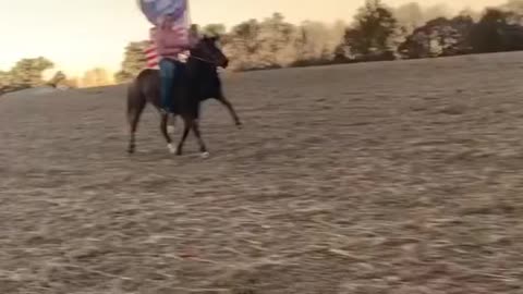 The Great CHARGE FOR FREEDOM!