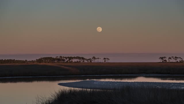 Moon Rise Last Night at Venus Ranch