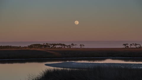 Moon Rise Last Night at Venus Ranch