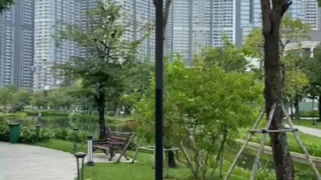 Peaceful Central Park surrounded by High-rise Apartment and Mansions