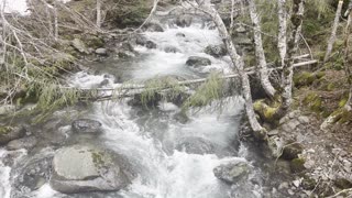 Gale Creek Roaring at Kachess Lake Campground – Okanogan-Wenatchee – Washington – 4K