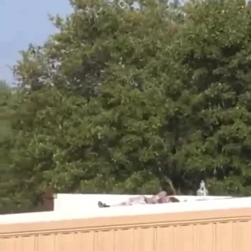 Trump Shooter gunned down on ROOF