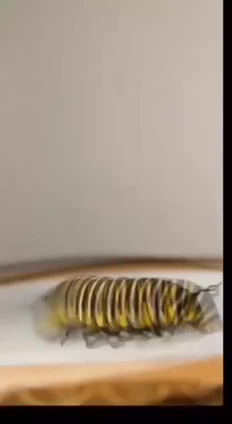 LORD, I DO BELIEVE; HELP ME OVERCOME, MY UNBELIEF | Lord Transform My Capacity To Love