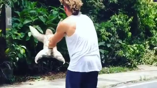 Helping Hand To A Sloth