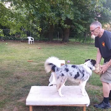 Soccer ball play with platforms and balance beams 4