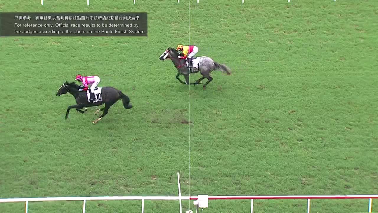 Horse_Race_2022061201_Chinese