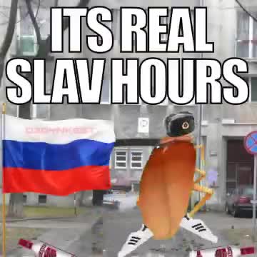 Cockroach gonna dance for the motherland