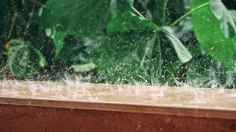 Satisfying Rain Sound | #rain