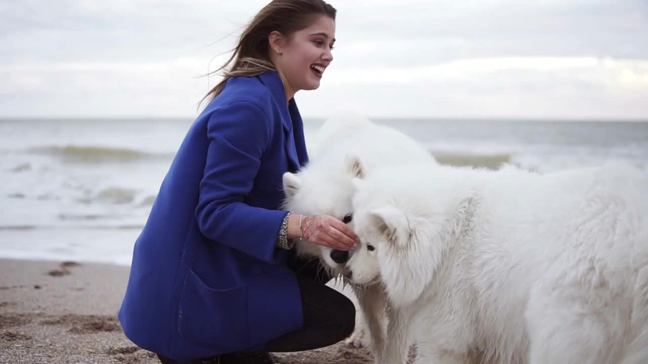 Slowmotion shot of attractive young woman plays with two dogs of the Samoyed breed by the sea