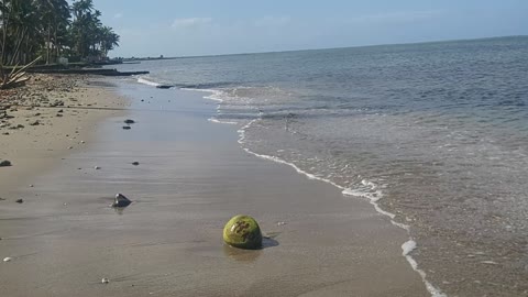 A Kite Fall From The Sky