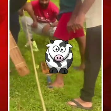 క్రికెట్పై వీరి సీరియస్నెస్ చూడండి! #short #cricket #cricketlovers #playingcricket | FBTV NEWS