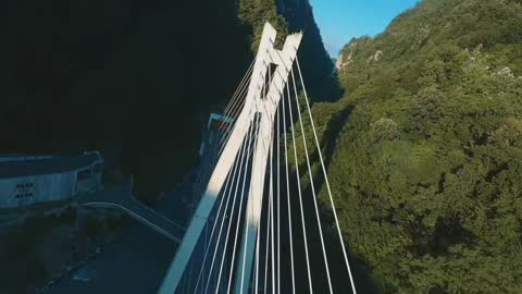 Cable-stayed bridge