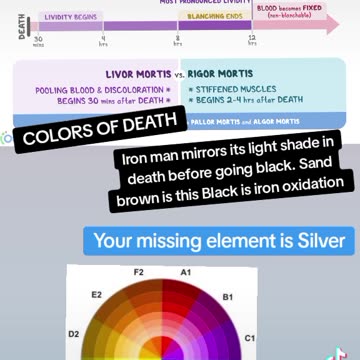 TRUE COLOR SHOWS IN DEATH THE AFTERLIFE