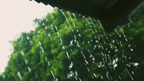 SOUND OF RAIN || TRULY SOUND OF NATURE