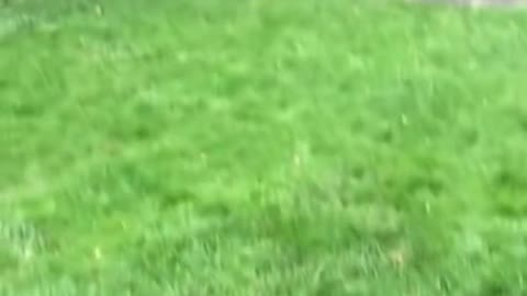 memes i found on tiktok (Pt.3)