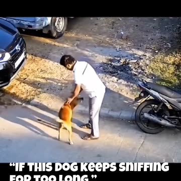 The Dog Attack Innocent Man