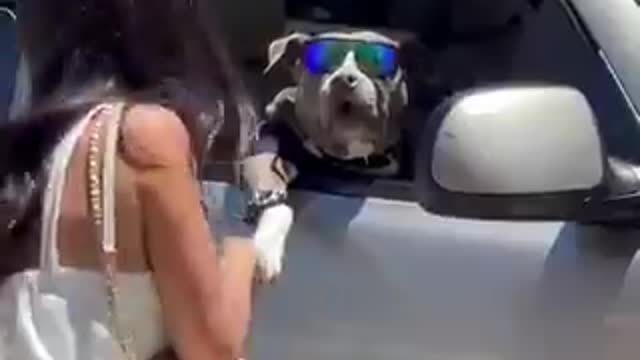 Celebrity high five....