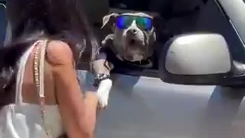 Celebrity high five....