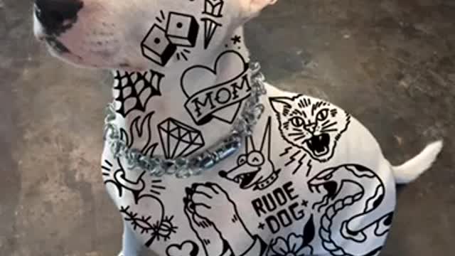 How to tattoo your dog using ProCreate
