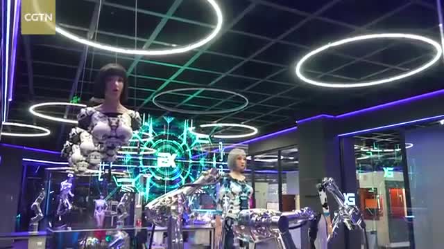 MUSEU DO FUTURO DE ROBÔS HUMANÓIDES